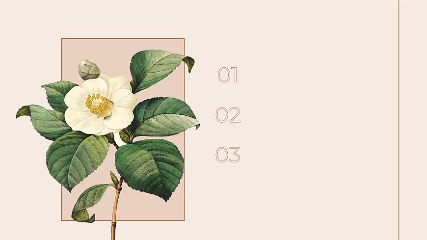 3.2.3 呼吸作用-2024-2025学年七年级生物下册（人教版2024） 课件第3页