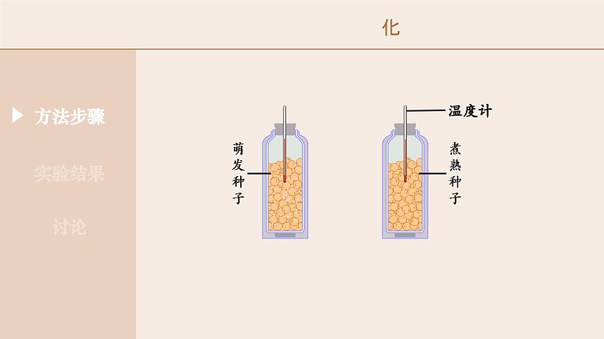 3.2.3 呼吸作用-2024-2025学年七年级生物下册（人教版2024） 课件第5页