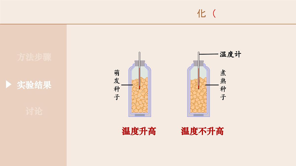 3.2.3 呼吸作用-2024-2025学年七年级生物下册（人教版2024） 课件第6页