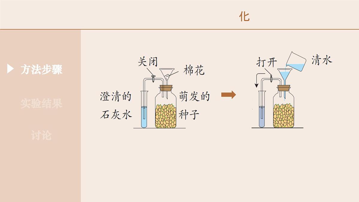3.2.3 呼吸作用-2024-2025学年七年级生物下册（人教版2024） 课件第8页