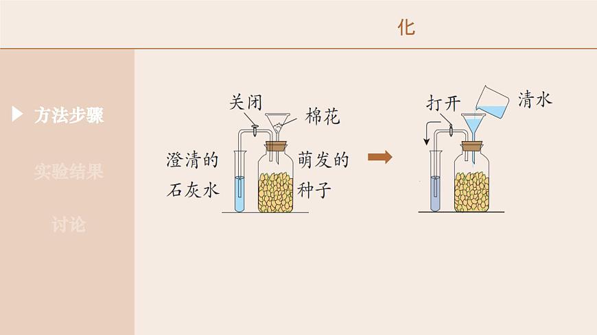 3.2.3 呼吸作用-2024-2025学年七年级生物下册（人教版2024） 课件第8页