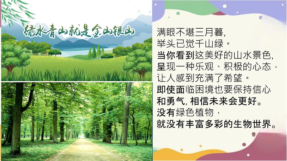 3.2.4 植物在自然界中的作用 课件 2025学年人教版生物七年级下册第1页