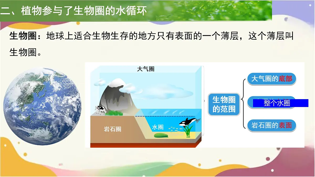 3.2.4 植物在自然界中的作用 课件 2025学年人教版生物七年级下册第5页