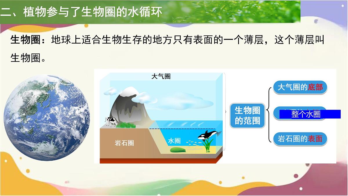 3.2.4 植物在自然界中的作用 课件 2025学年人教版生物七年级下册第5页