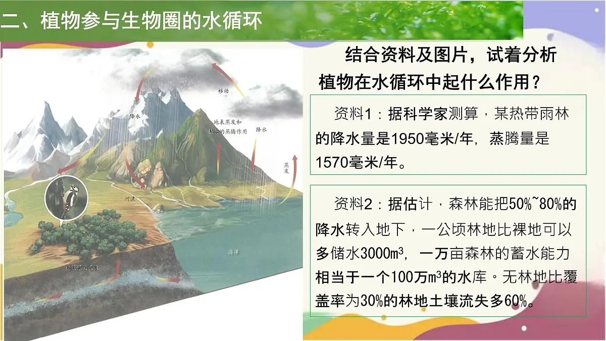 3.2.4 植物在自然界中的作用 课件 2025学年人教版生物七年级下册第7页