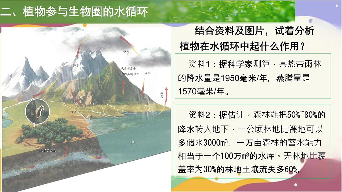 3.2.4 植物在自然界中的作用 课件 2025学年人教版生物七年级下册第7页