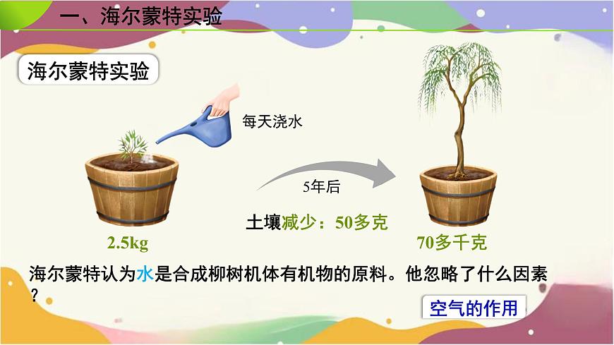 3.2.2 光合作用(第2课时）课件 2025学年人教版生物七年级下学期第4页