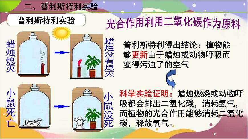 3.2.2 光合作用(第2课时）课件 2025学年人教版生物七年级下学期第5页