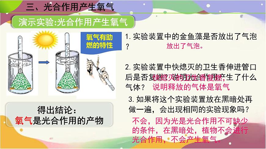3.2.2 光合作用(第2课时）课件 2025学年人教版生物七年级下学期第6页
