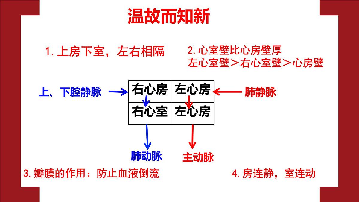 3.2.2血液循环的途径和功能 七年级生物下册教学课件（冀少版2024）第1页
