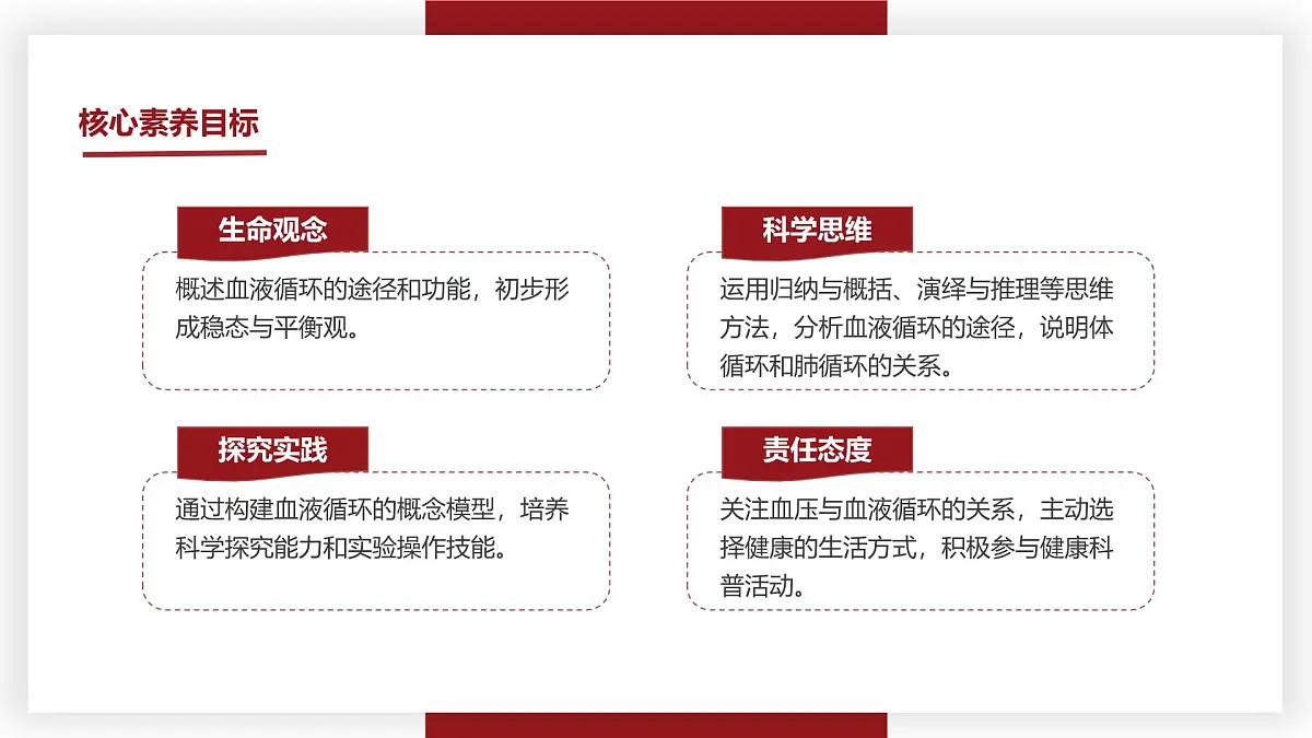 3.2.2血液循环的途径和功能 七年级生物下册教学课件（冀少版2024）第3页