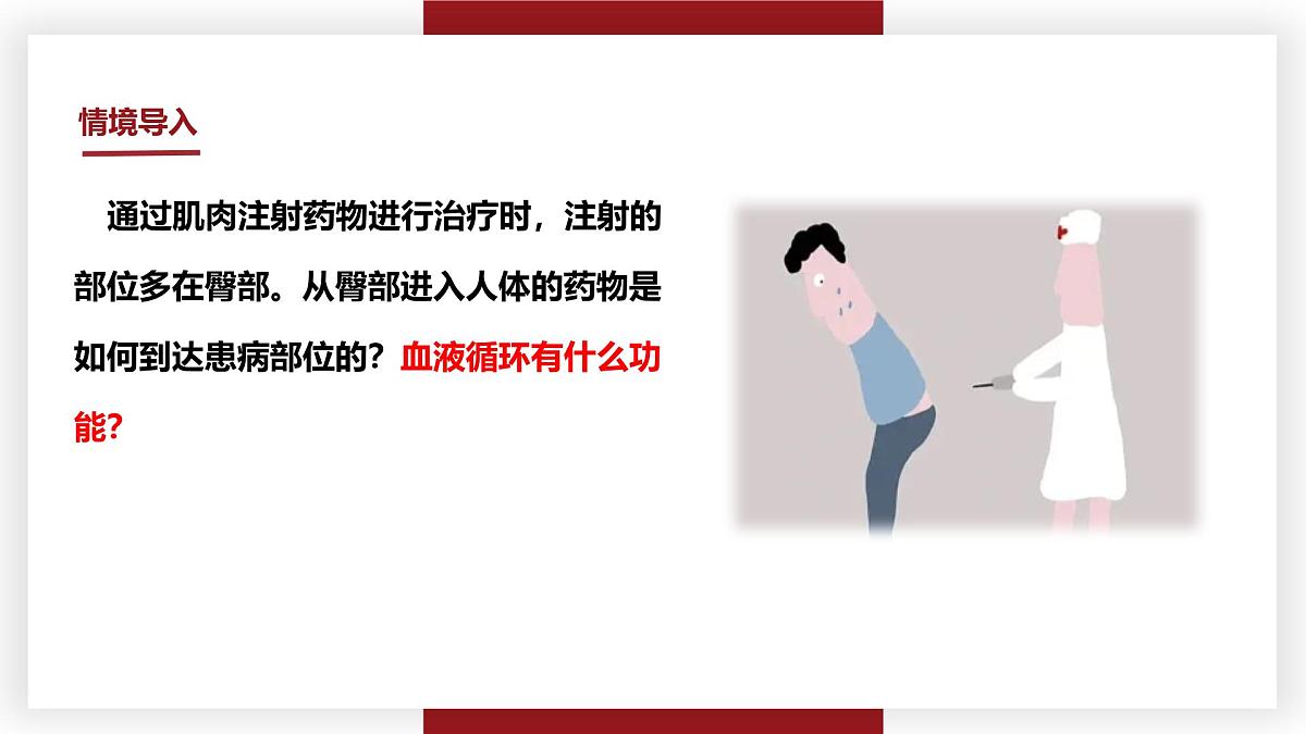 3.2.2血液循环的途径和功能 七年级生物下册教学课件（冀少版2024）第4页