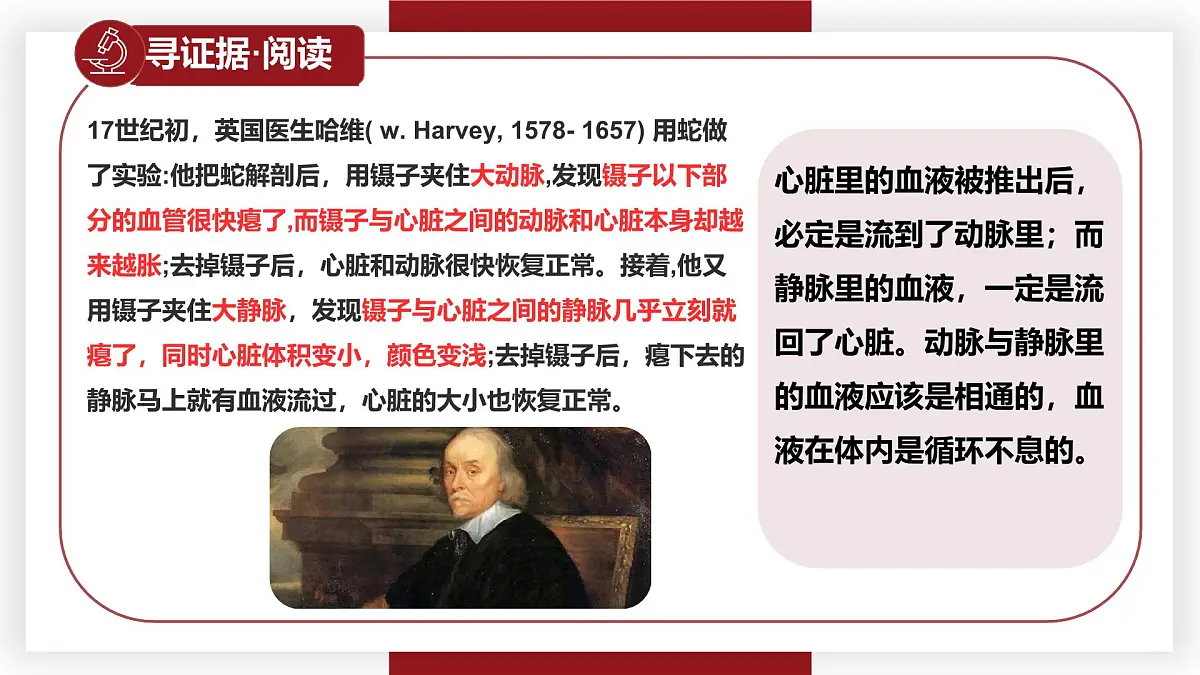 3.2.2血液循环的途径和功能 七年级生物下册教学课件（冀少版2024）第7页