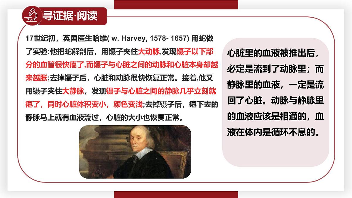 3.2.2血液循环的途径和功能 七年级生物下册教学课件（冀少版2024）第7页