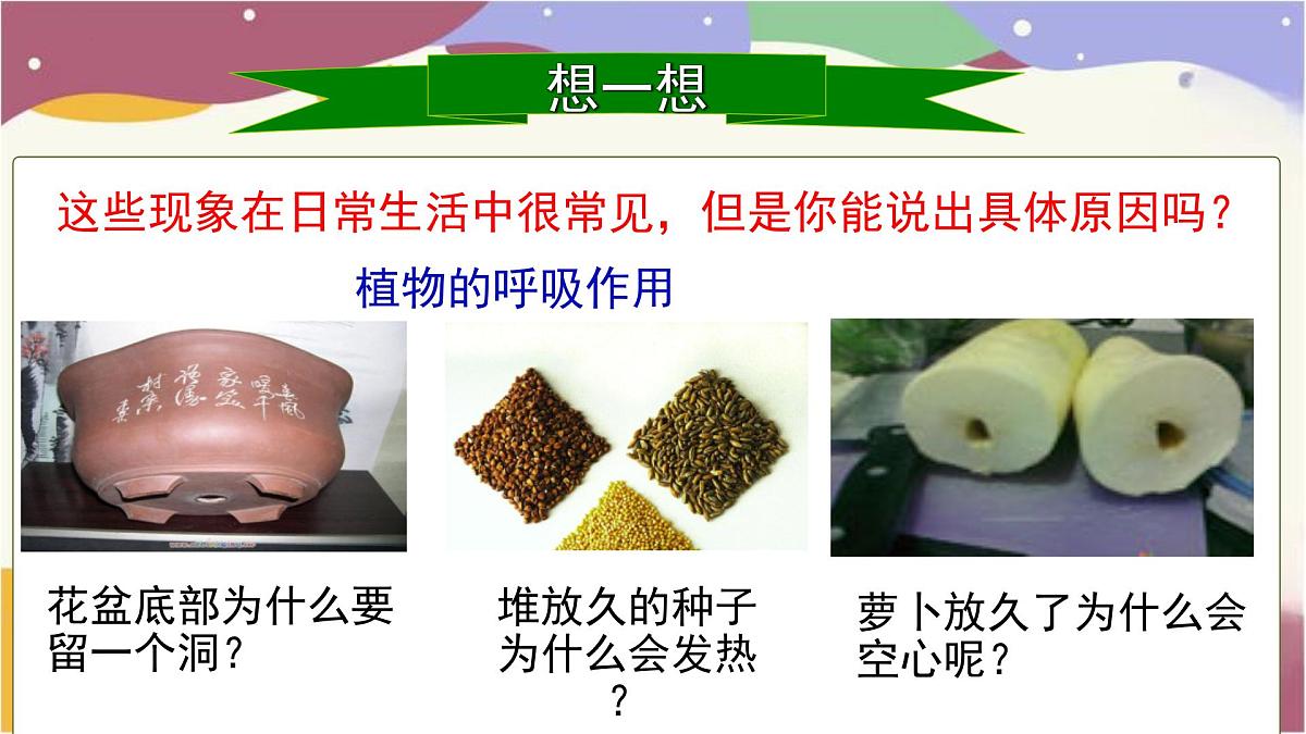 3.2.3 呼吸作用 课件-2024-2025学年人教版生物七年级下册第2页