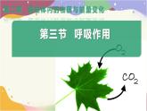 3.2.3 呼吸作用 课件-2024-2025学年人教版生物七年级下册