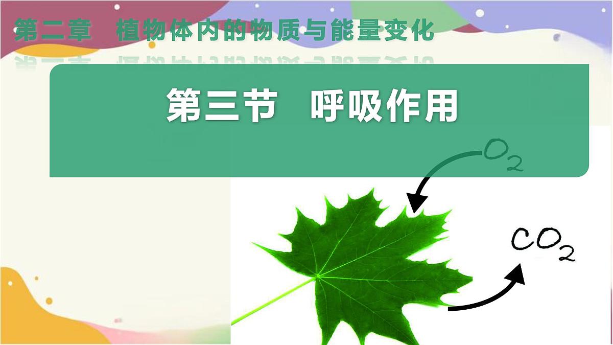 3.2.3 呼吸作用 课件-2024-2025学年人教版生物七年级下册第3页