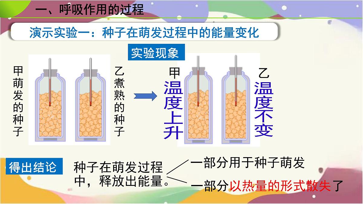 3.2.3 呼吸作用 课件-2024-2025学年人教版生物七年级下册第5页