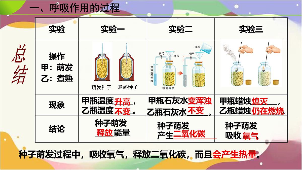3.2.3 呼吸作用 课件-2024-2025学年人教版生物七年级下册第8页