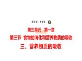 3.1.3.3 營養(yǎng)物質(zhì)的吸收課件 2025學(xué)年冀少版生物七年級下冊