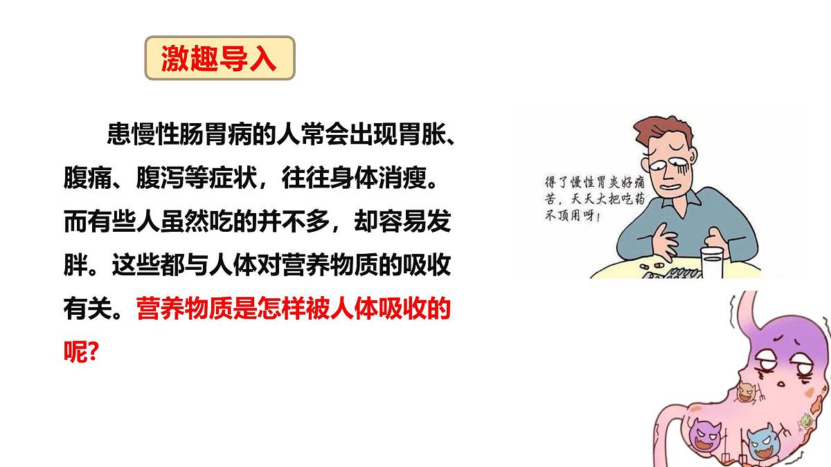 3.1.3.3 营养物质的吸收课件 2025学年冀少版生物七年级下册第2页
