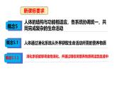 3.1.3.3 營養(yǎng)物質(zhì)的吸收課件 2025學(xué)年冀少版生物七年級下冊