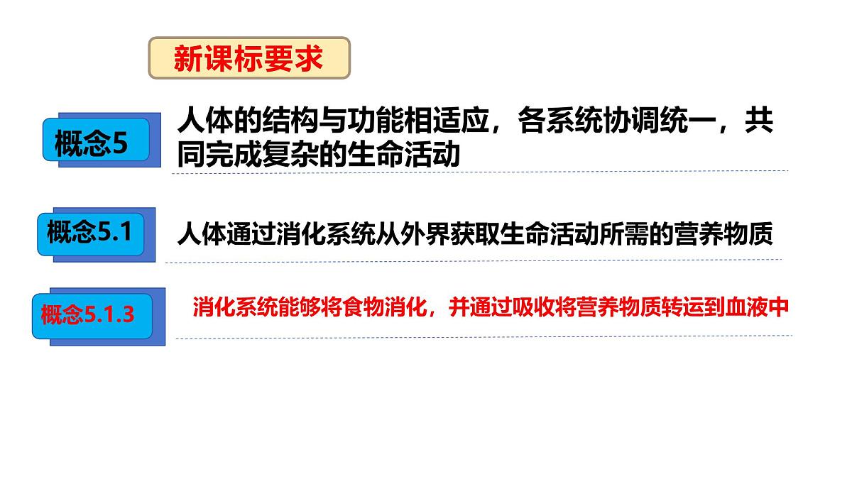 3.1.3.3 营养物质的吸收课件 2025学年冀少版生物七年级下册第3页