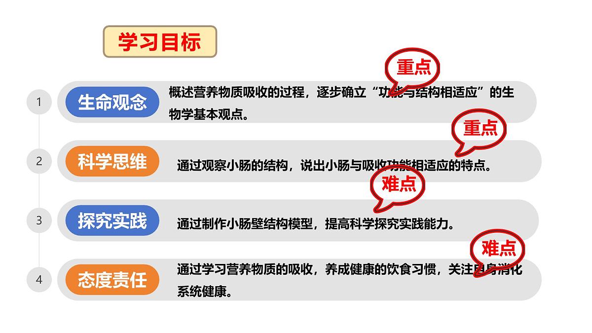 3.1.3.3 营养物质的吸收课件 2025学年冀少版生物七年级下册第4页