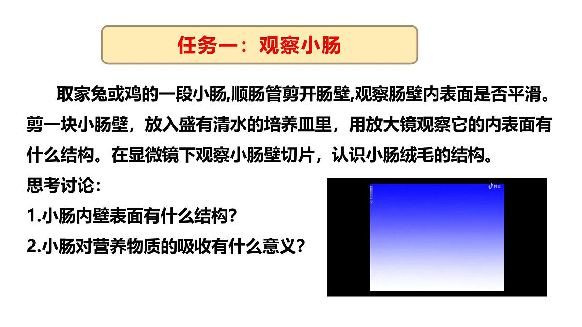 3.1.3.3 营养物质的吸收课件 2025学年冀少版生物七年级下册第5页