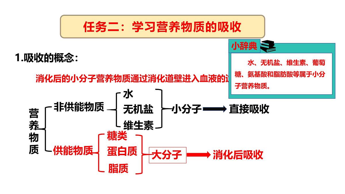 3.1.3.3 营养物质的吸收课件 2025学年冀少版生物七年级下册第8页