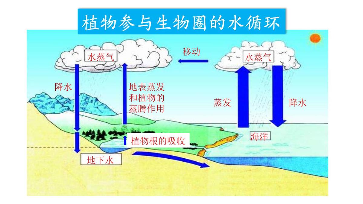 初中生物新人教版七年级下册3.2第四节 植物在自然界中的作用教学课件2025春第7页