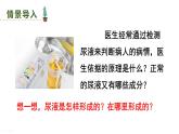 初中生物新人教版七年級(jí)下冊(cè)4.5第2課時(shí) 尿的形成和排出教學(xué)課件2025春