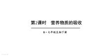 初中生物人教版（2024）七年级下册（2024）消化和吸收教学ppt课件