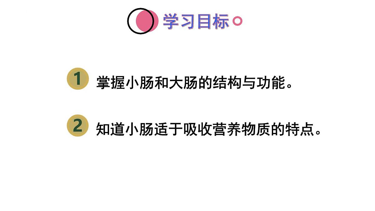 初中生物新人教版七年级下册4.2第二节第二课时 营养物质的吸收教学课件2025春第2页