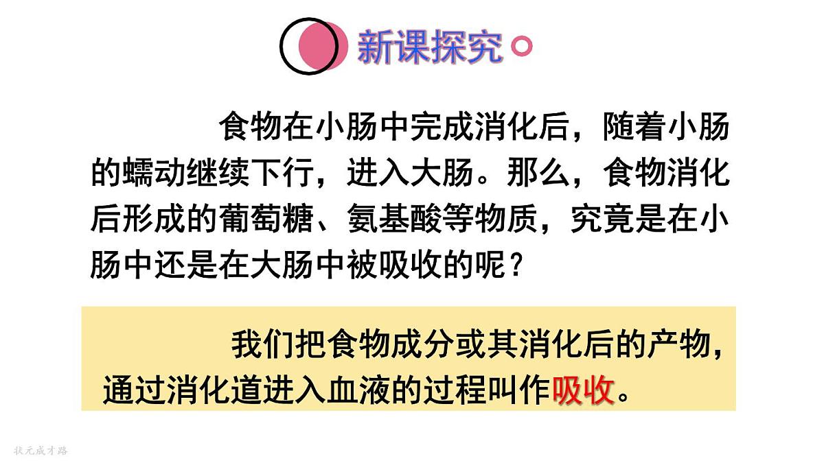 初中生物新人教版七年级下册4.2第二节第二课时 营养物质的吸收教学课件2025春第4页