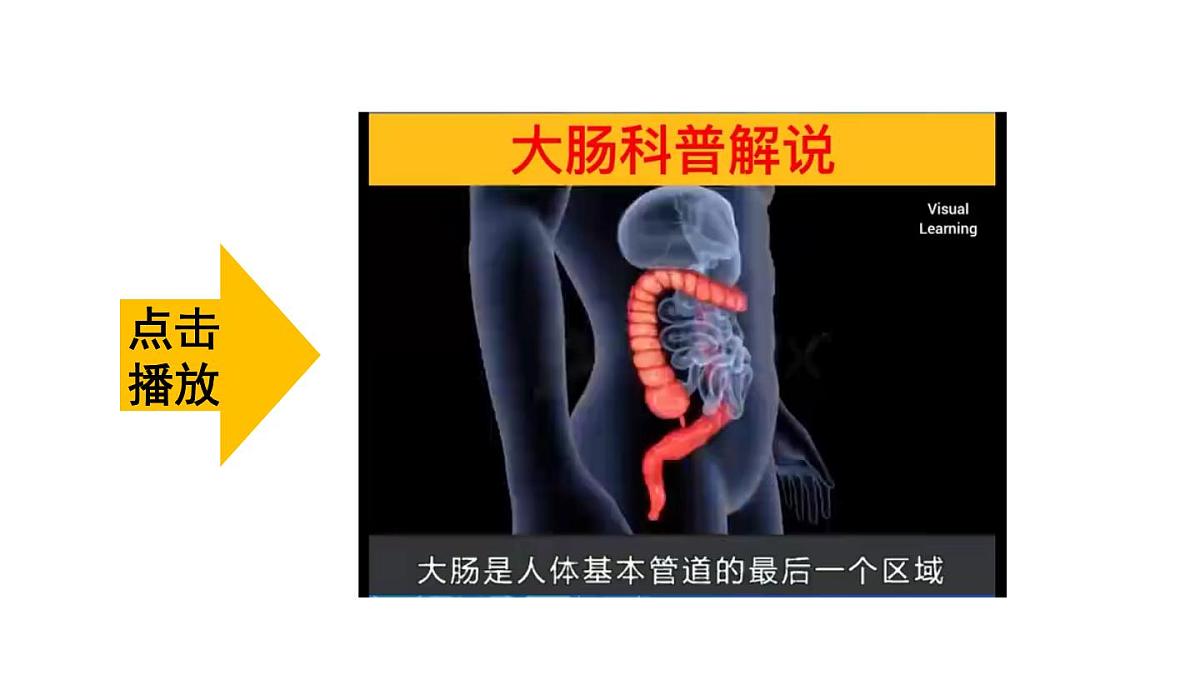 初中生物新人教版七年级下册4.2第二节第二课时 营养物质的吸收教学课件2025春第6页
