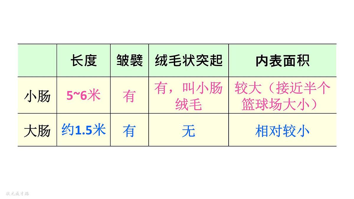 初中生物新人教版七年级下册4.2第二节第二课时 营养物质的吸收教学课件2025春第7页