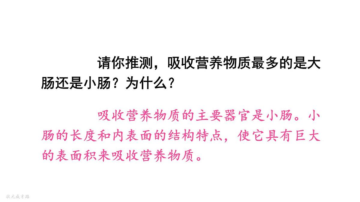 初中生物新人教版七年级下册4.2第二节第二课时 营养物质的吸收教学课件2025春第8页