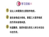 初中生物新人教版七年級下冊4.2第一節(jié)第一課時 糖類、脂質(zhì)、蛋白質(zhì)的作用教學(xué)課件2025春