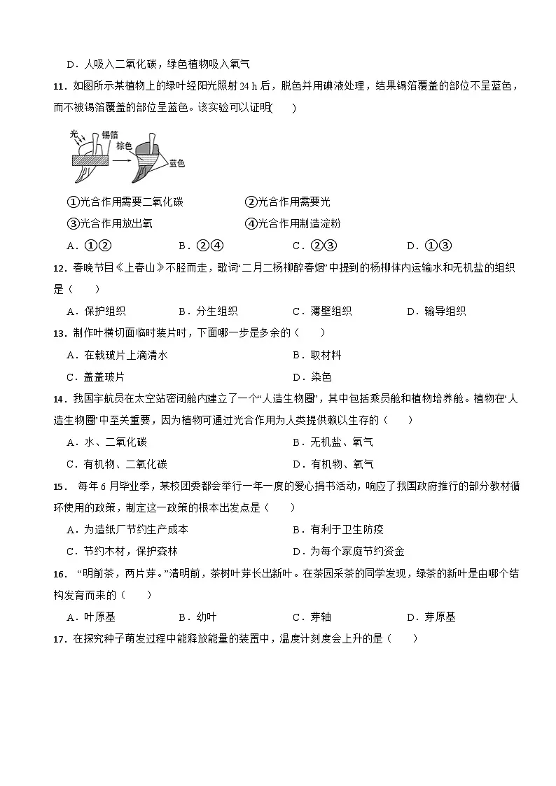 第3单元《植物的生活》--2024-2025学年人教版（2024）生物学七年级下册单元检测第3页