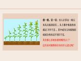 3.2.1 水的利用與散失 2025學(xué)年七年級生物下冊（人教版2024） 課件