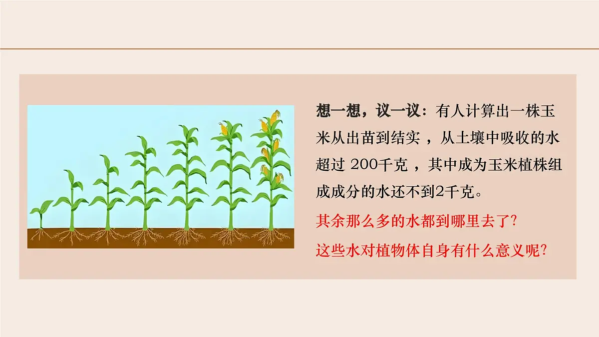 3.2.1 水的利用与散失 2025学年七年级生物下册（人教版2024） 课件第2页