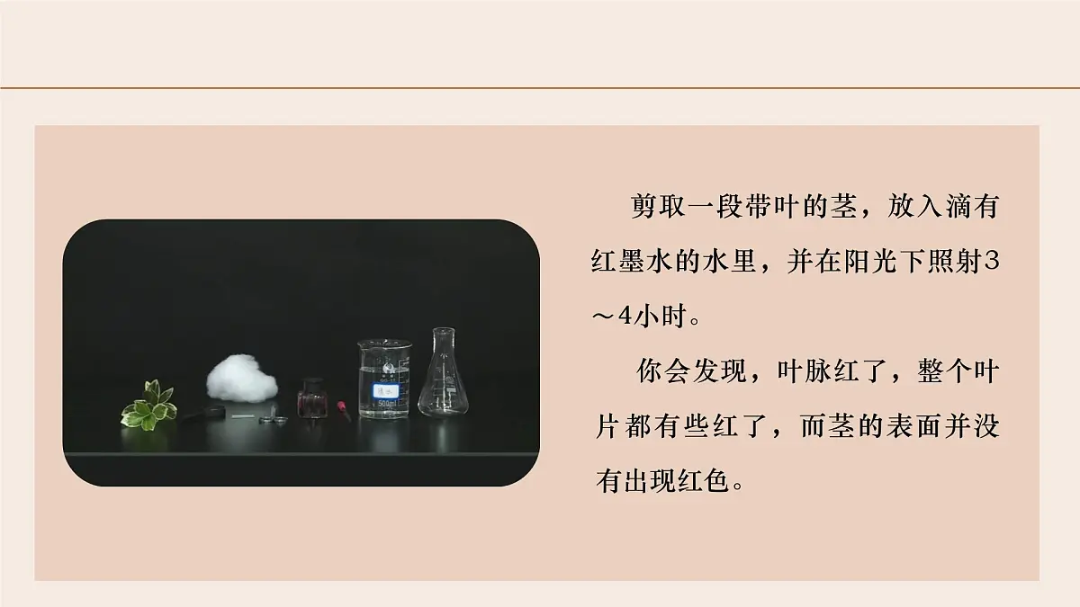 3.2.1 水的利用与散失 2025学年七年级生物下册（人教版2024） 课件第6页