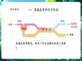 【新教材核心素養(yǎng)】北師大版生物七年級下冊 4.9.2.2尿的形成與排出（第二課時(shí)）（課件+單元教學(xué)設(shè)計(jì)+教案+思維導(dǎo)圖）