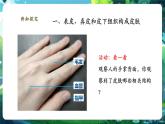 【新教材核心素養(yǎng)】北師大版生物七年級下冊 4.9.3 皮膚與汗液分泌（課件+單元教學設(shè)計+教案+思維導圖）