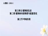 初中  生物  人教版（2024） 七年级下册3.2.3 呼吸作用 课件