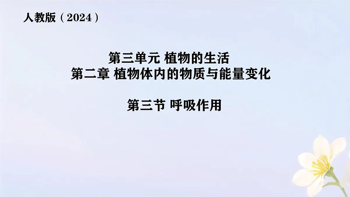 初中 生物 人教版（2024） 七年级下册3.2.3 呼吸作用 课件第1页