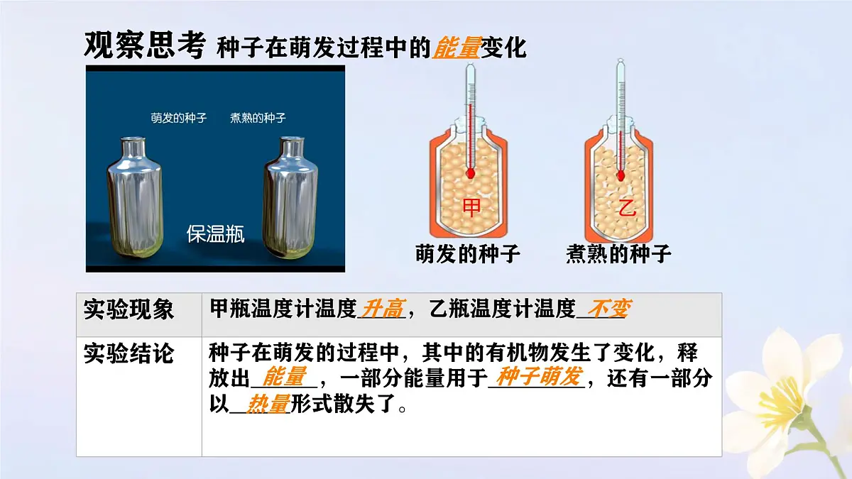 初中 生物 人教版（2024） 七年级下册3.2.3 呼吸作用 课件第2页