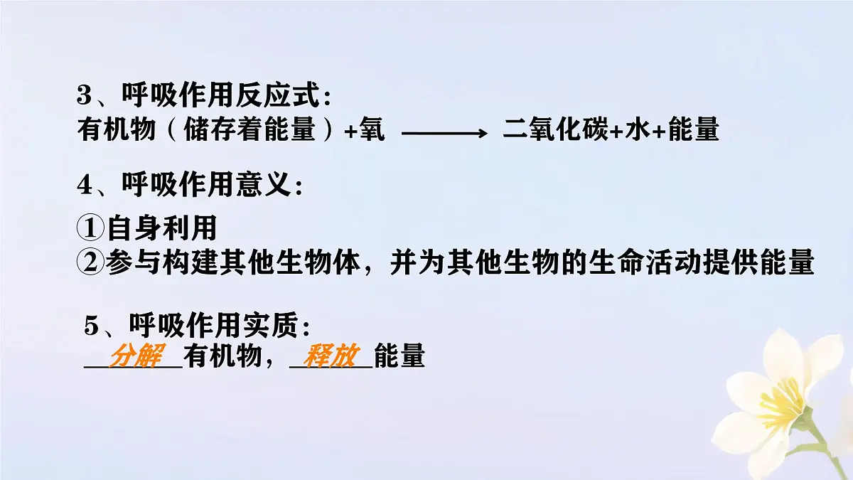 初中 生物 人教版（2024） 七年级下册3.2.3 呼吸作用 课件第5页