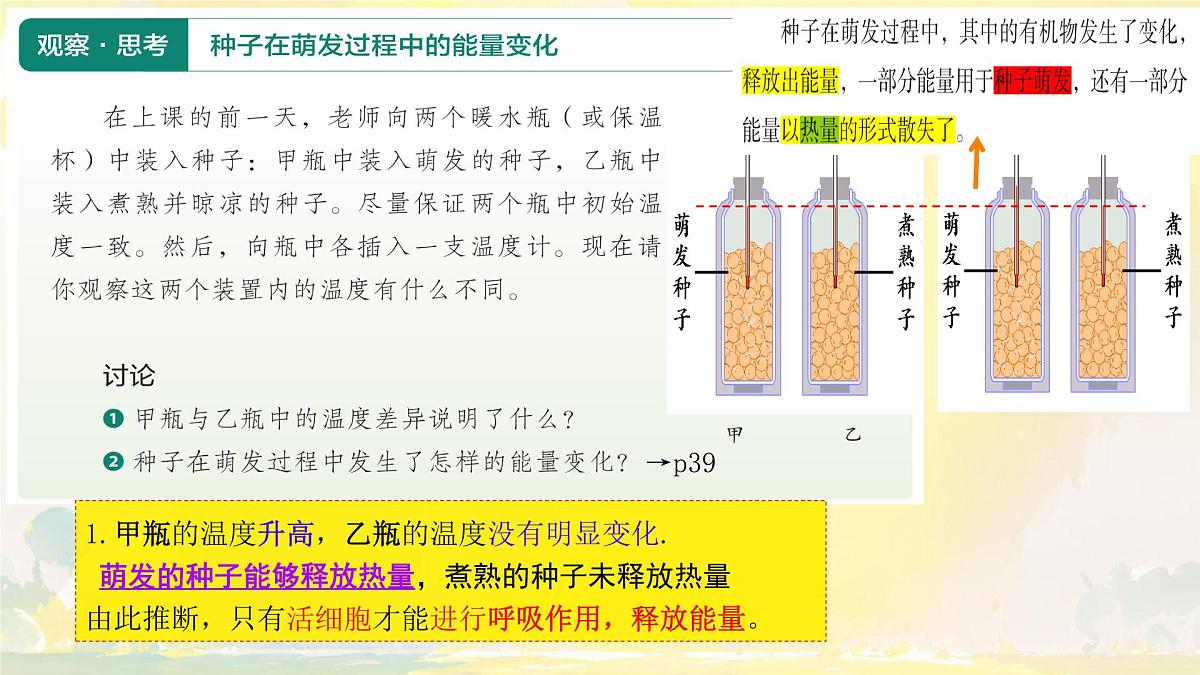 初中  生物  人教版（2024） 七年级下册3.2.3 呼吸作用 课件第2页